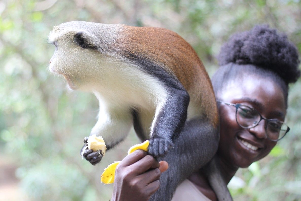 A fun and adventurous trip to Tafi Monkey Sanctuary and Mountain Afadja 6